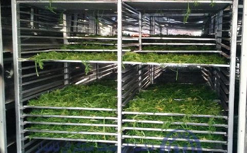 دستگاه خشک کن سبزیجات صنعتی در بازار