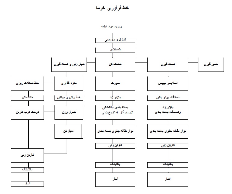 دستگاه بسته بندی خرماخط فراوری خرما